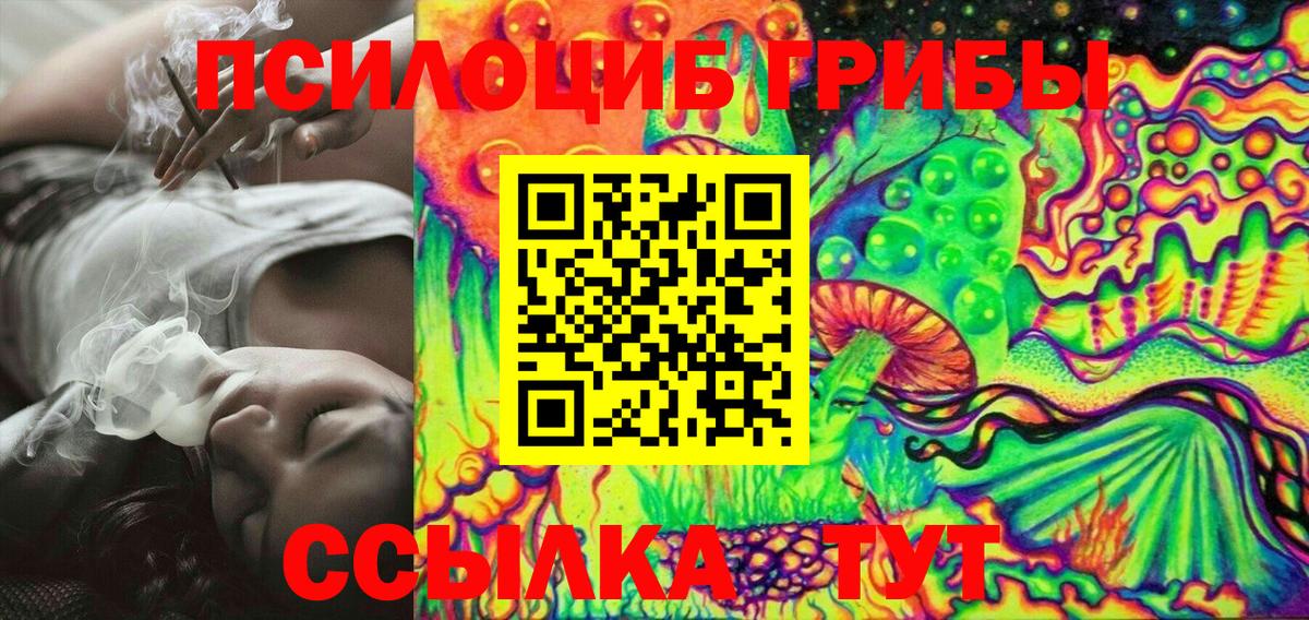 Татарск  Галлюциногенные грибы прущие грибы  Вход с VPN 